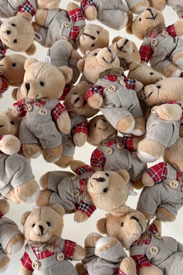 3-6 Yaş Okul Öncesi Kitaplık Seti - Peluş Hediyeli