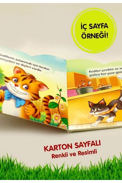 Ben Kimim? - Kedi