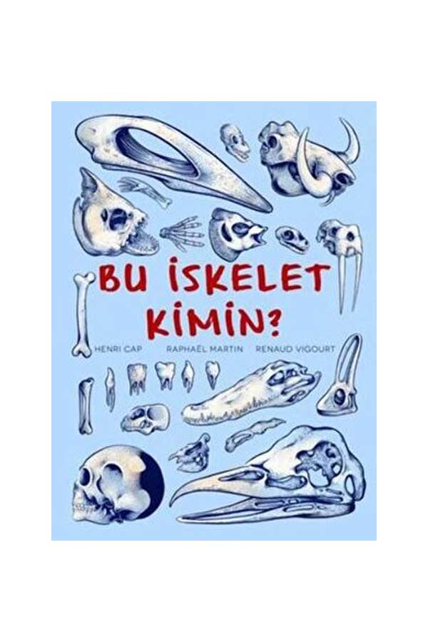 Bu İskelet Kimin?