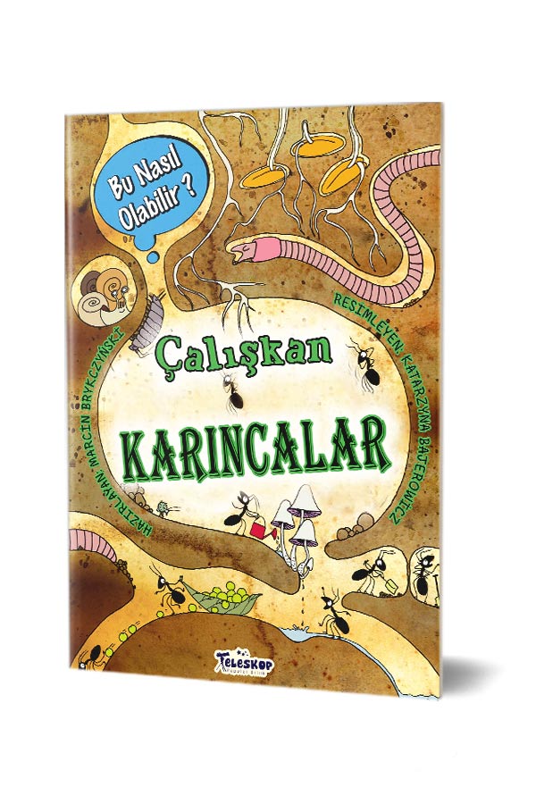 Çalışkan Karıncalar