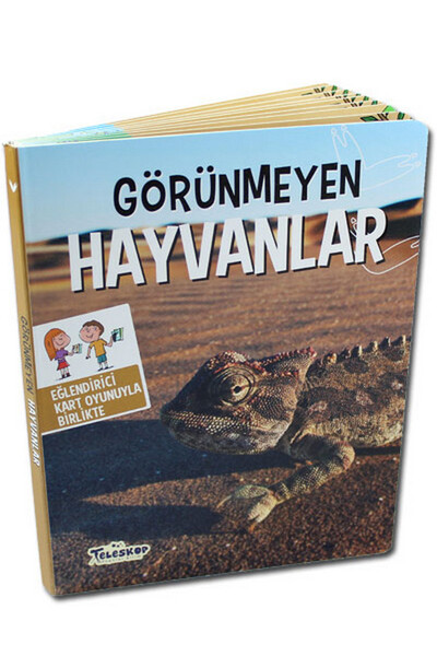 Görünmeyen Hayvanlar - Karton Kitap