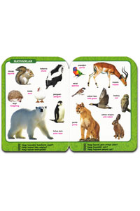 Hayvanlar  İlk Bilgilerim Dizisi 0-6 Yaş Yayınları - Thumbnail
