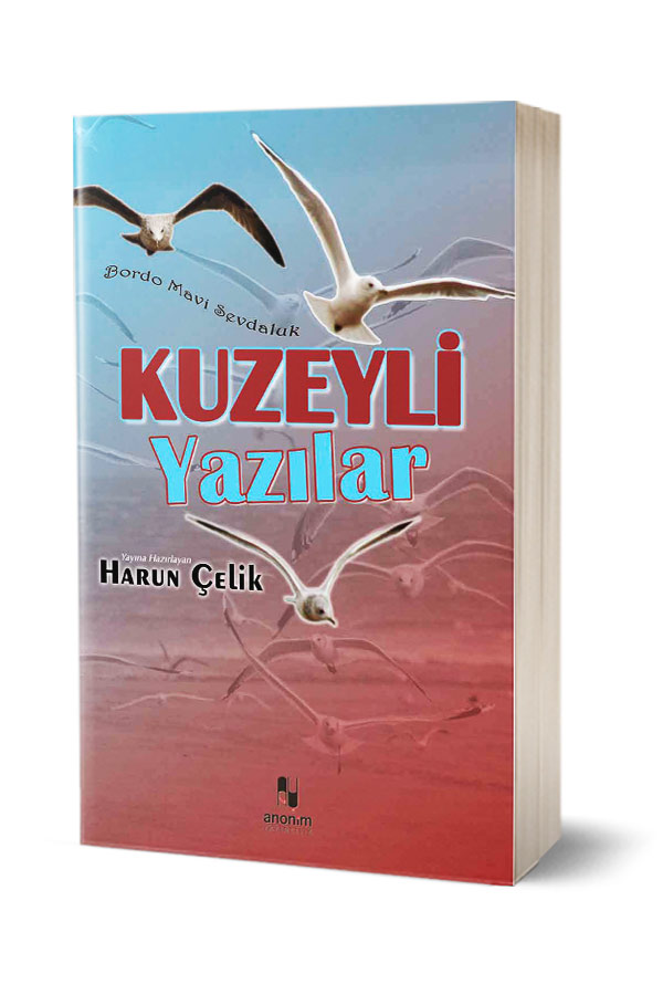 Kuzeyli Yazılar