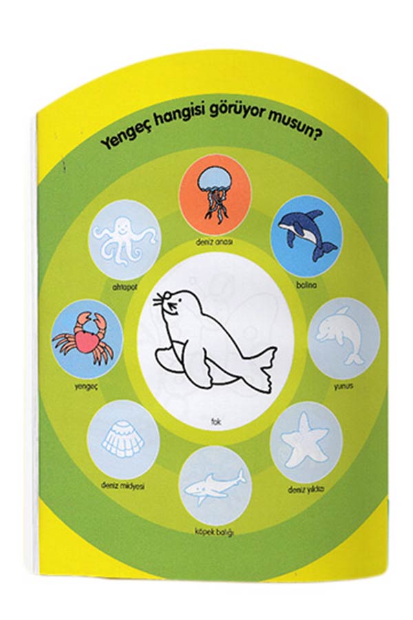 Yapıştır ve Boya - 4 Kitap